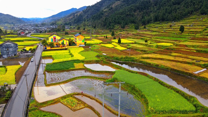 ؑcɽhϪ(zhn)l(xing)L(fng)̔z