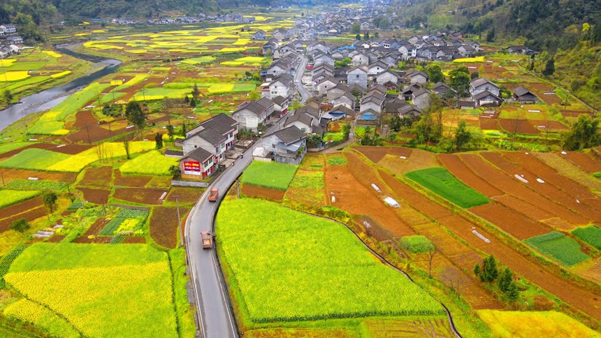 ؑcɽhϪ(zhn)l(xing)L⡣̔z