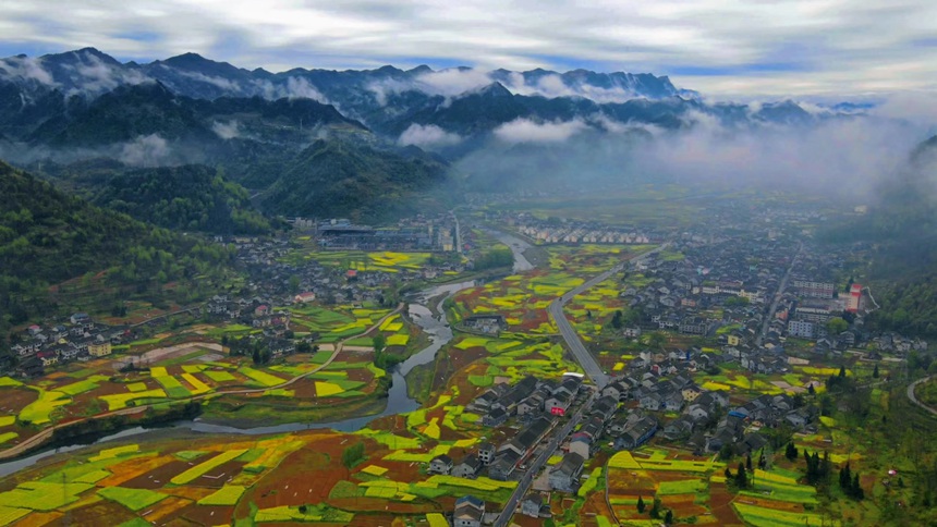 ؑcɽhϪ(zhn)l(xing)L(fng)̔z