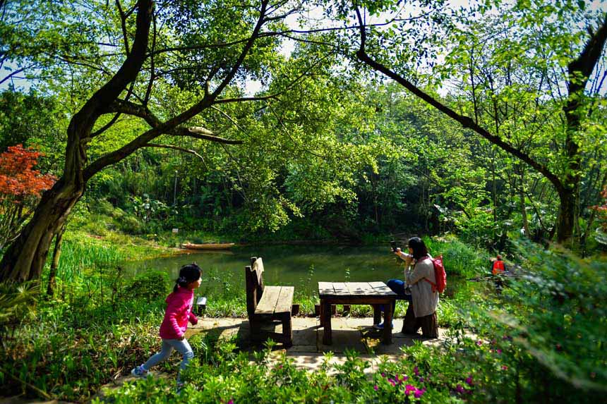 ՏVꖍuӳr̼tľGɫ֮Õr(ji)޾ӡz