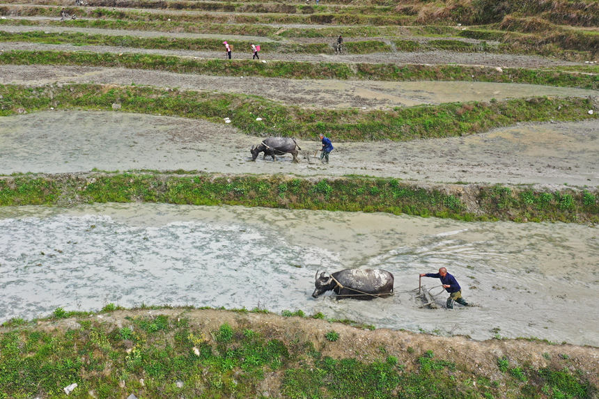 46ؑcˮͩl(xing)ɳڸwz