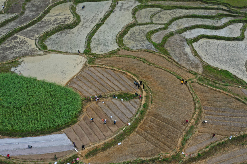 46ؑcˮͩl(xing)(x)ɳgwz