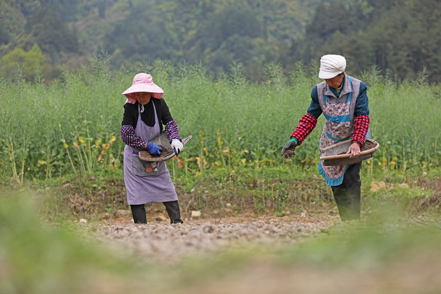 46ؑcˮͩl(xing)(x)ɳgwz