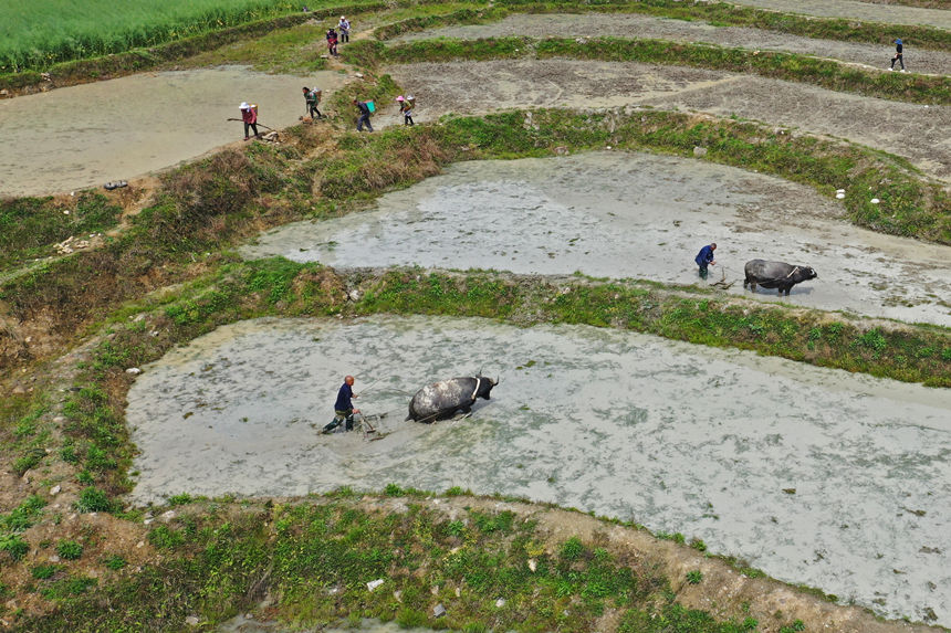 46գؑcˮͩl(xing)(x)ɳڸwz