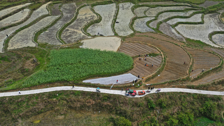 46ؑcˮͩl(xing)(x)ɳgwz