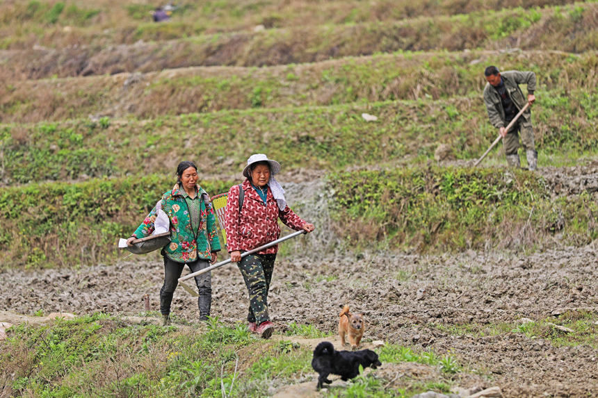 46ؑcˮͩl(xing)ɳ壬κrgO󷽱wz