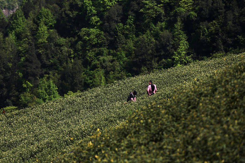 ץr(nng)r(sh)(sh)F(xin)¸z