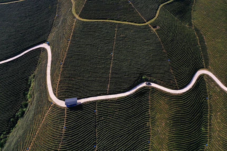 ܇ڰײصĮaI(y)·ϡz