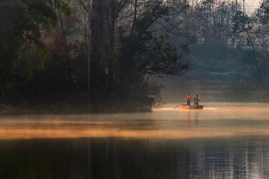 ˆTڝƯؑcƽpҝع@D