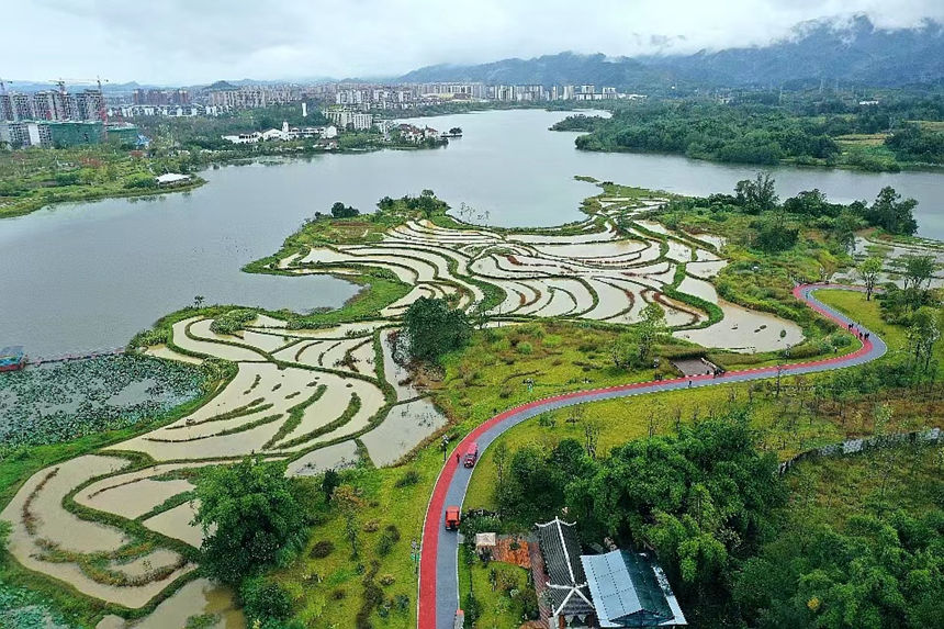 Bؑcƽpҝع@ؑcƽpҝع@D