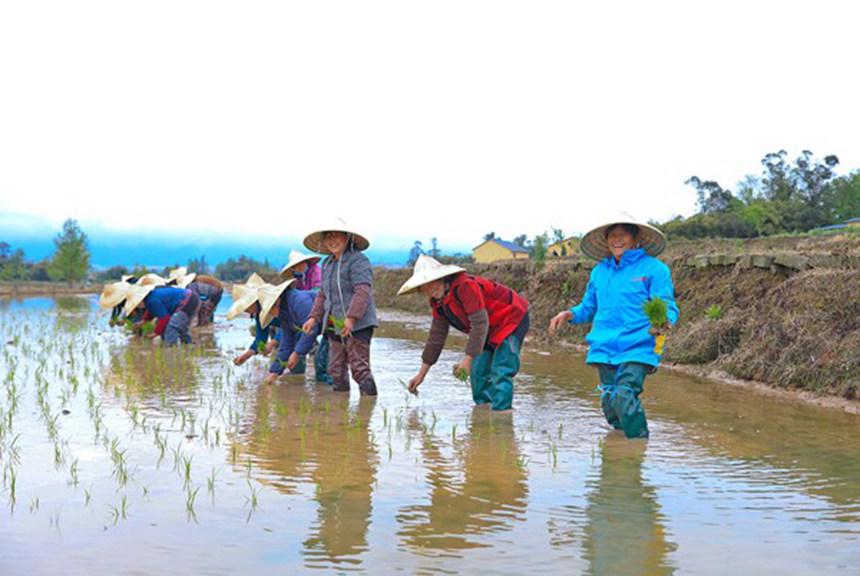 村民們?cè)谡故臼止げ逖?。熊偉攝