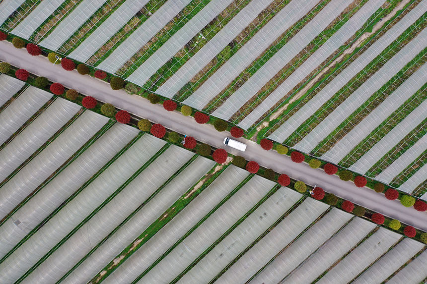 ܇vؑcǭ^(q)(zhn)dȪĮaI(y)·z