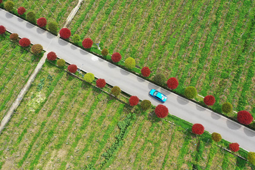 ܇(ch)vؑcǭ^(q)(zhn)dȪĮa(chn)I(y)·z