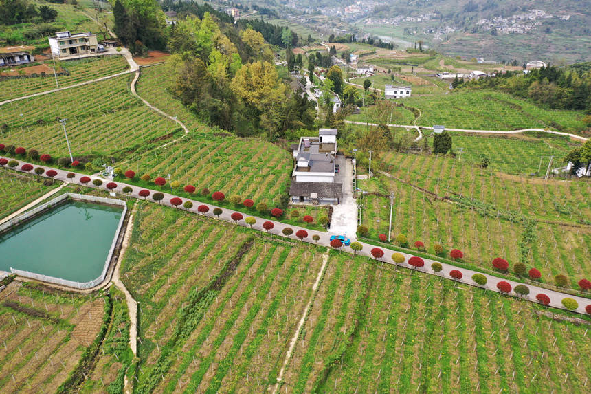 ܇vؑcǭ^(q)(zhn)dȪĮaI(y)·z