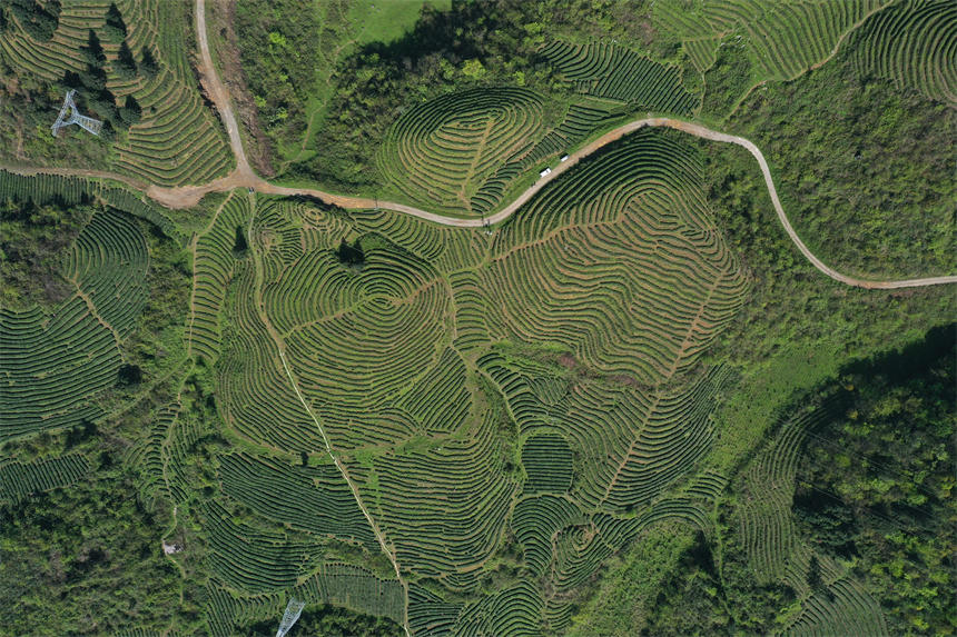 һɽqһ(g)(g)ڴϡָyȞ^wz