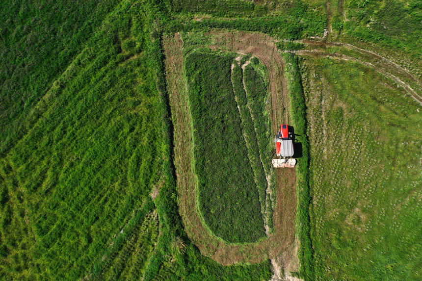 ؑcǭ^(q)R(zhn)ɼCʂĵz