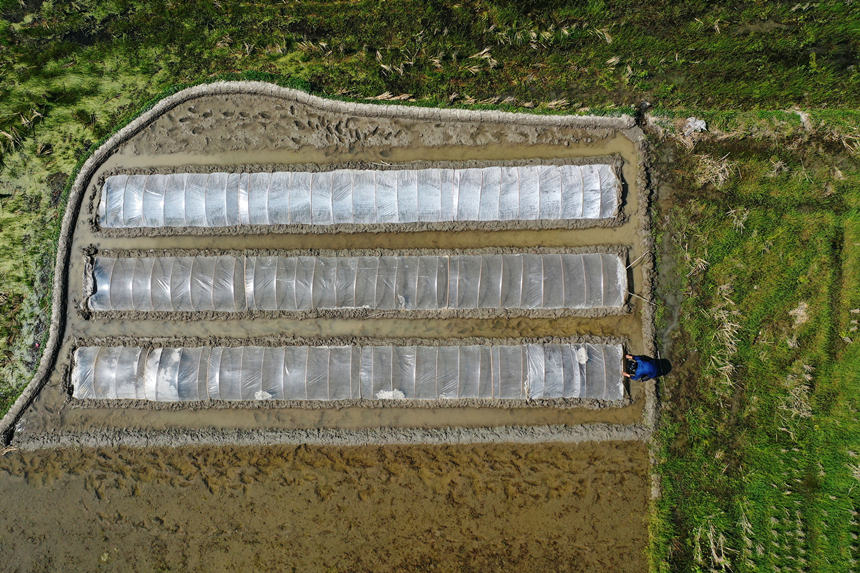 ؑcǭ^(q)R(zhn)ɼڹo(h)紲z