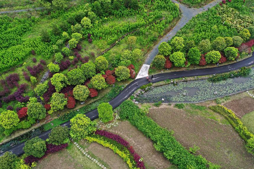 οؑcǭ^(q)(gu)ҝع@Tҽֵ܈@z