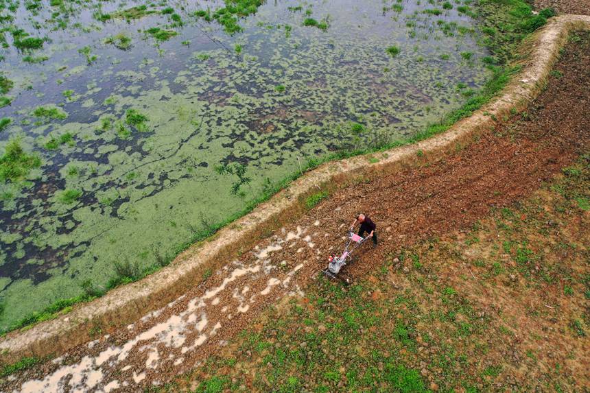 ؑcˮ(zhn)׷Nֲ΢C(j)z