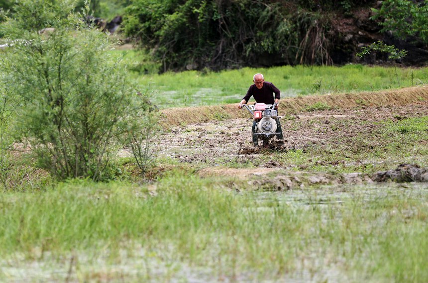 ؑcˮ(zhn)׷Nֲ΢Cz