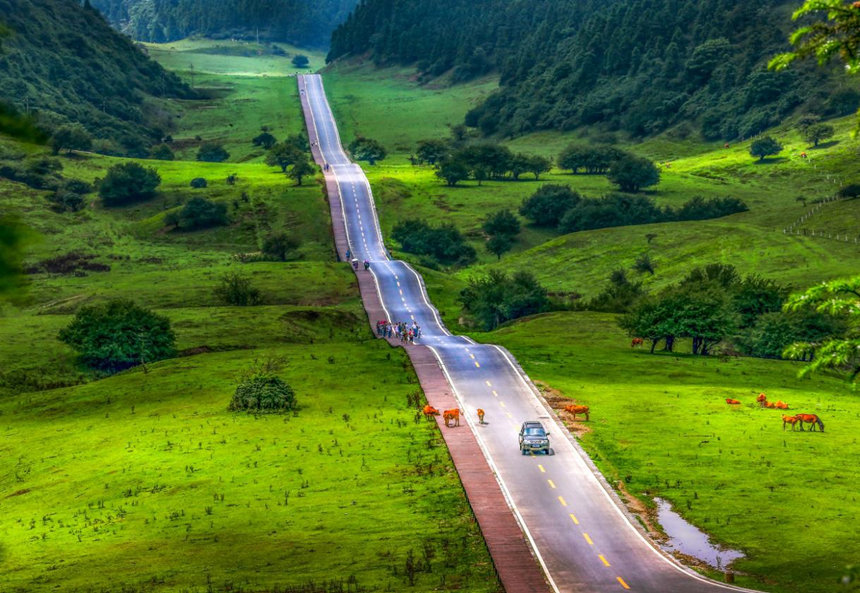 Ůɽɭֹ@¡^(q)D