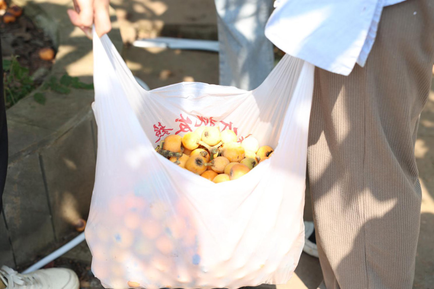 滿(mǎn)載而歸。重慶文化藝術(shù)職業(yè)學(xué)院供圖