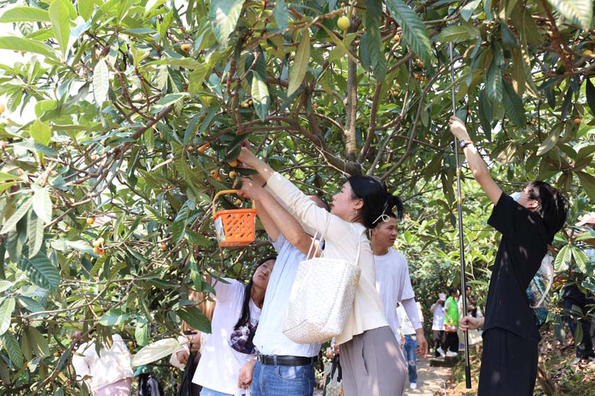 枇杷樹下各顯神通。重慶文化藝術(shù)職業(yè)學(xué)院供圖