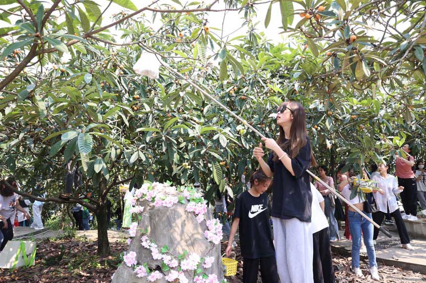 看我采摘有妙招。重慶文化藝術(shù)職業(yè)學(xué)院供圖