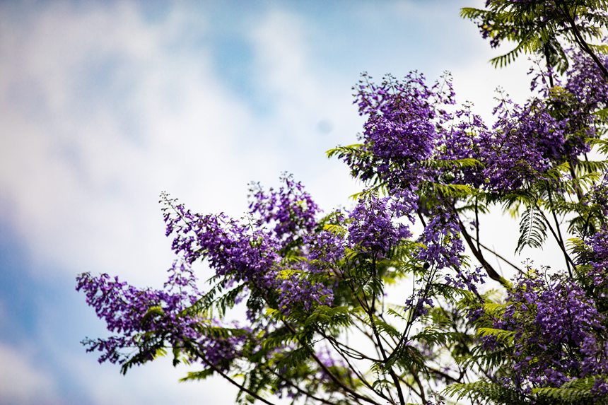 ؑcϰ^(q)VꖞǄ(chung)B(ti)ͨ{(ln)ʢ_־z