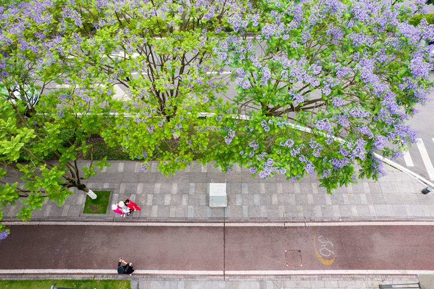 ؑcϰ^(q)VꖞǄ(chung)B(ti)ͨ{(ln)ʢ_־z