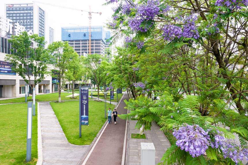 ؑcϰ^(q)V(yng)Ǆ(chung)B(ti)ͨ{(ln)ʢ_(ki)־z