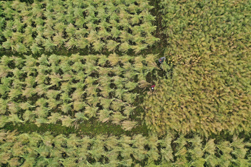 ؑcǭ^(q)СϺ(zhn)·^(q)ոͲz