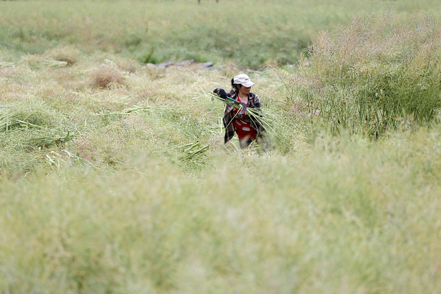 ؑcǭ^(q)СϺ(zhn)·^(q)ոͲz