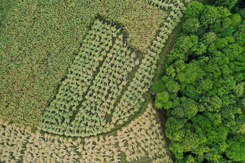 ؑcǭ^(q)СϺ(zhn)·^(q)ոͲˡz