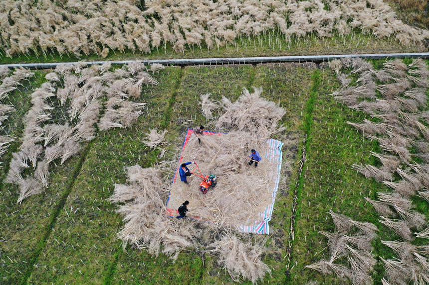 ؑcǭ^(q)СϺ(zhn)·^(q)ڴͲz