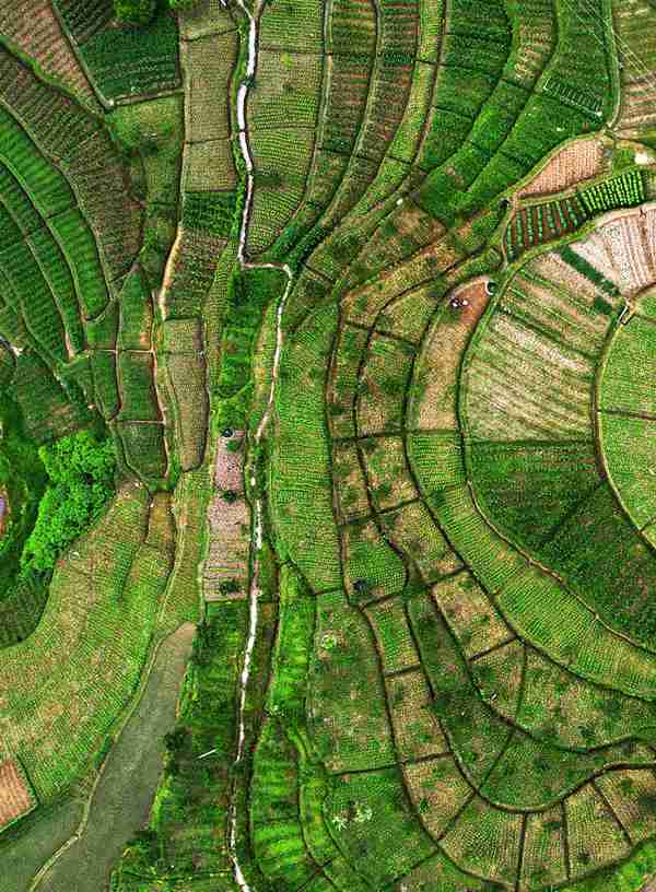 dl(xing)L(fng)SӔz