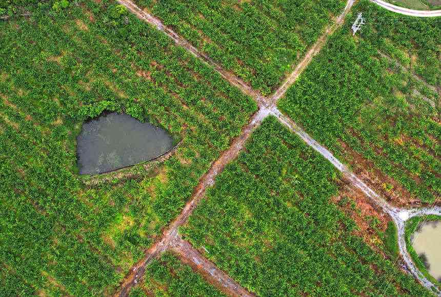 dӈ@L(zhng)(sh)ϲˡSӔz