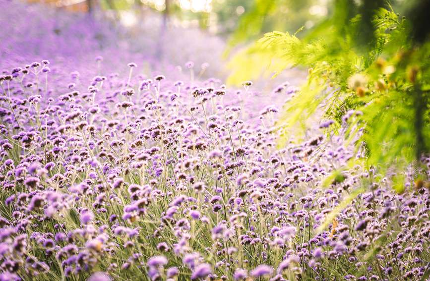 ССĻSL(fng)uҷ̎ƯĚϢ?jn)z