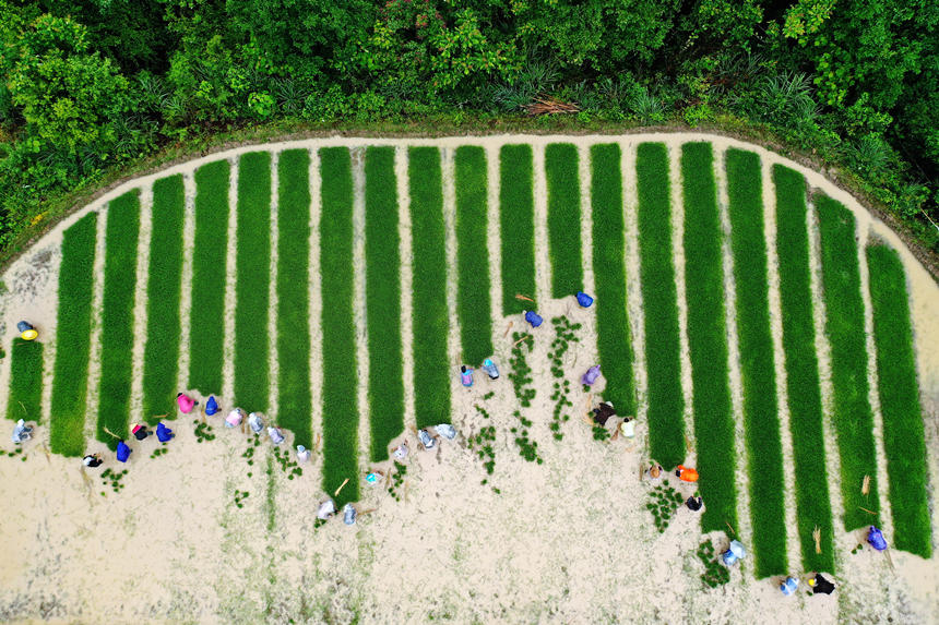 ؑcǭ^(q)ʯ(zhn)ɽˮæµz