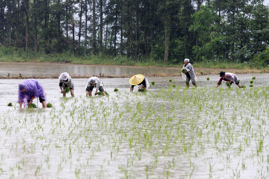 ؑcǭ^(q)ʯ(zhn)ɽgz