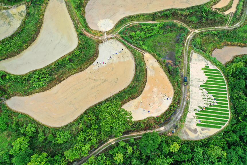 ؑcǭ^(q)ʯ(zhn)ɽgæz