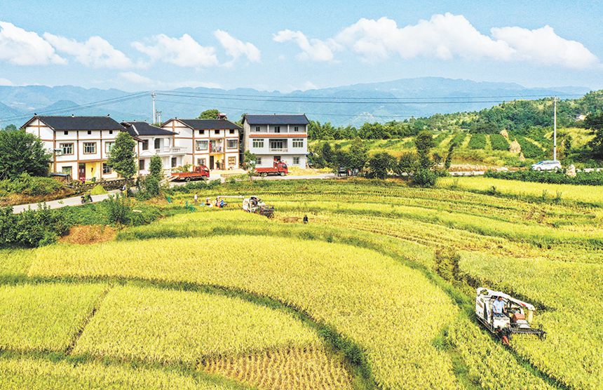 2020825山^(q)ǧK壬һծԓ˾ӭh(hun)Ξץer(nng)Ĵ˼҈@˴ӛ fy z/ҕXؑc