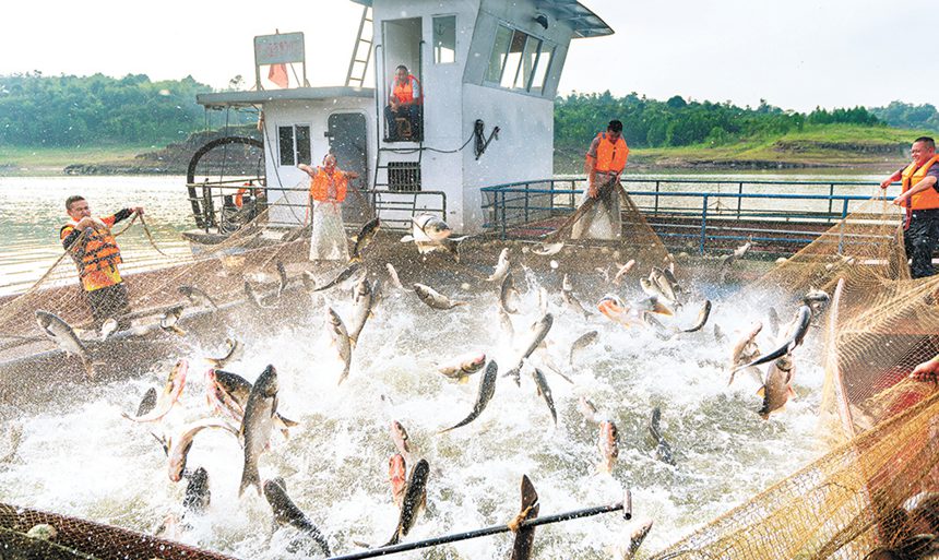 2020523գLۅ^(q)LۺˆTվW(wng)~@ЩB(ti)B(yng)ֳ~SĲͨӍT  z/ҕXؑc