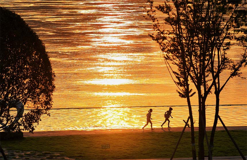 ϞI·ŰͶع@ӂڽ߅ґˣz