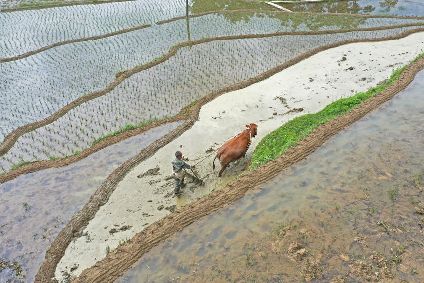 Ϫl(xing)شʂwz