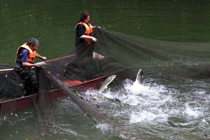 mB(ti)~B(yng)ֳز~(yng)Јz