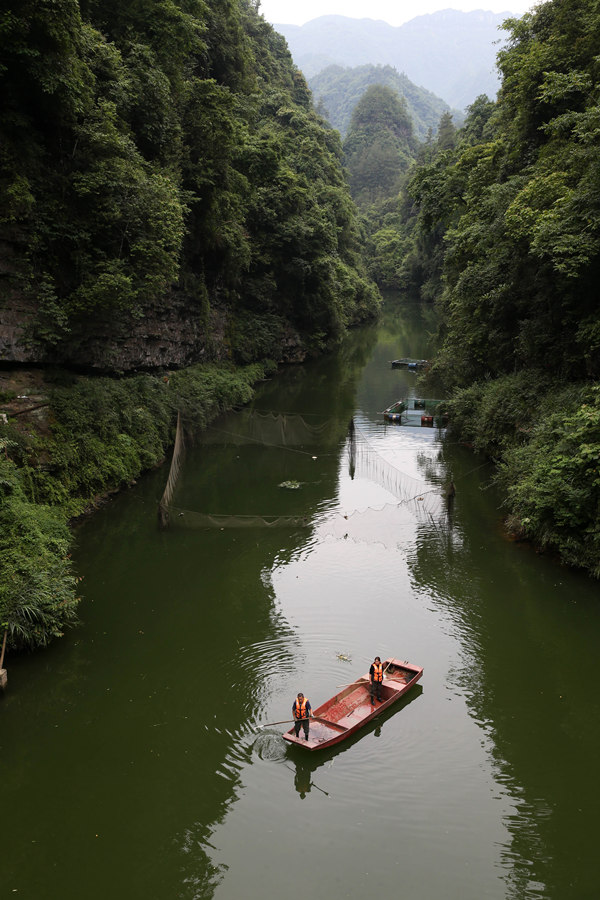 mB(ti)~(y)B(yng)ֳز鿴B(ti)~(y)L(zhng)rz