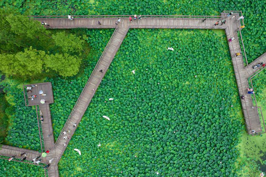 ؑcϪ@(ni)ĺɫ־z