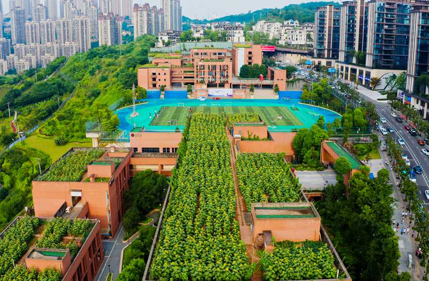 ̌W(xu)?sh)տ@ɽ^(q)ǺW(xu)УD