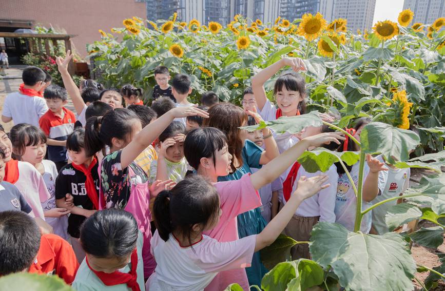 nðMտ@ɽ^(q)ǺW(xu)УD